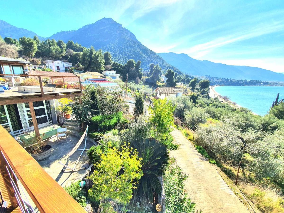 Magical View Studios Asproneri, Kamena Vourla Exterior foto