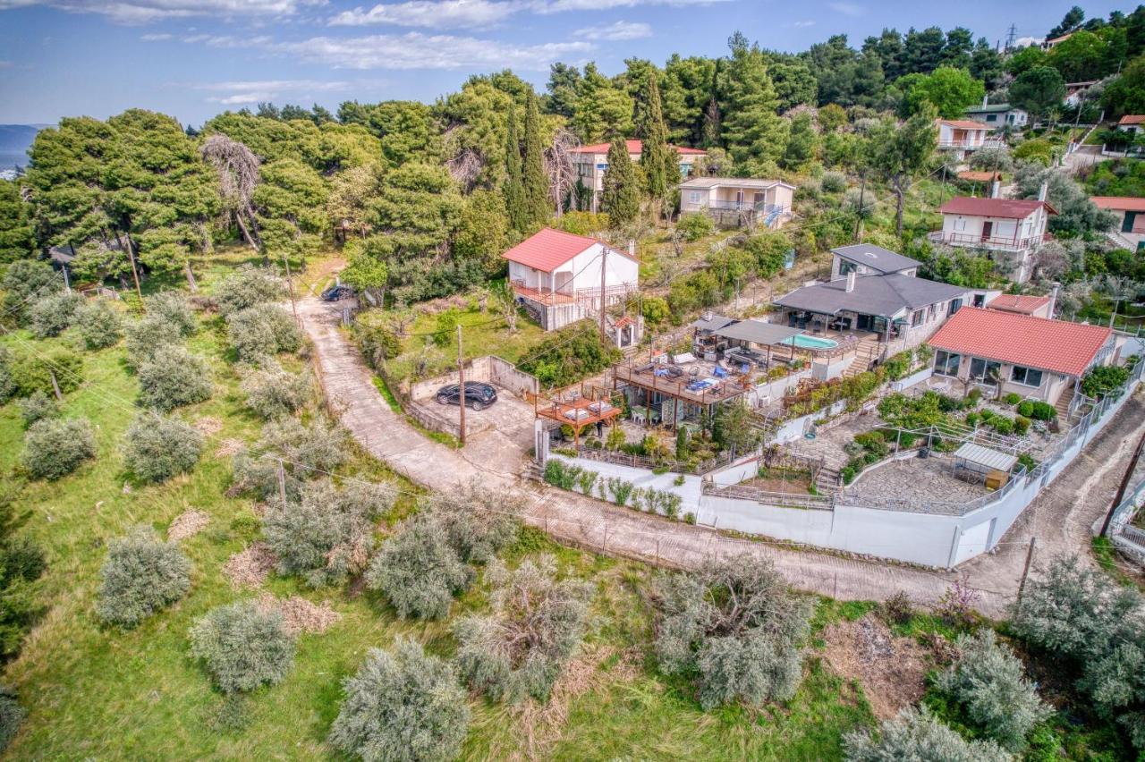 Magical View Studios Asproneri, Kamena Vourla Exterior foto